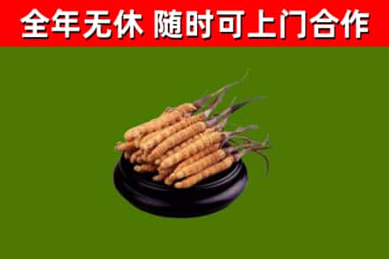 遂平县烟酒回收冬虫夏草.jpg